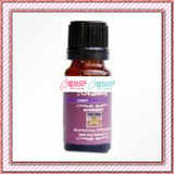 飞扬柏蒂 迷迭香 10ml